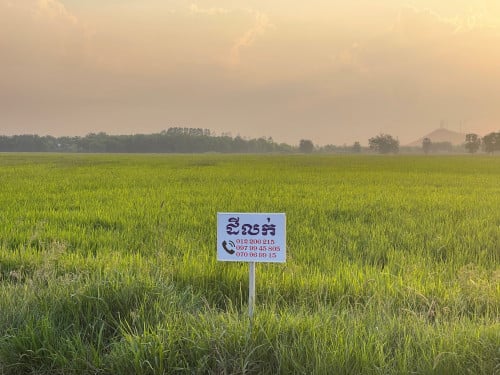 ដីលក់បន្ទាន់