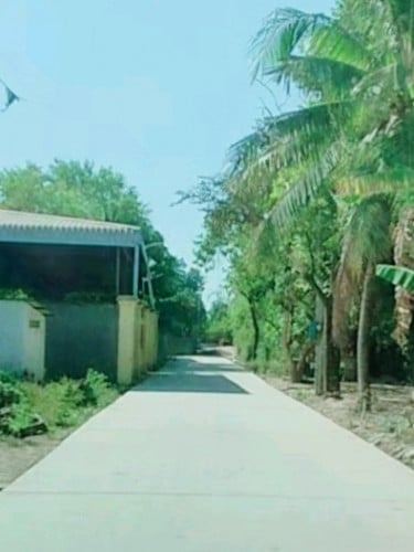 ដីលក់ 10mx70m #ម្ចាស់ផ្ទាល់