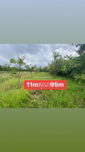 ដីលក់ប្រញ៉ាប់ម្ចាស់លក់ផ្ទាល់