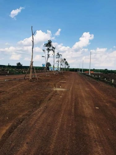 ត្រូវការលក់ដីបន្ទាន់ឬដូឡានដីក្នុងទីរួមខេត្តត្បូងឃ្មុំ កាលទិញតំលៃ12000$លក់វិញ6000$ត្រូវការលុយបន្ទាន់