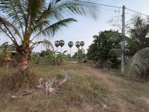 ដីលក់បន្ទាន់20x40