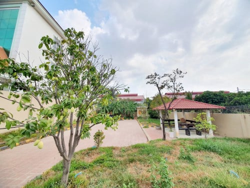 ដីនៅក្បែរផ្លូវហាណូយ