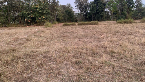 ដីលក់តម្លៃចរចា៎បាន