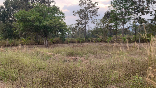 ដីលក់តម្លៃចរចា៎បាន