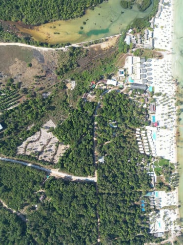 ដីជិតឆ្នេរដើមថ្កូវ កោះរ៉ុង