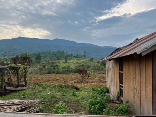 ដីទល់មុខរីសតវាលវែងភ្នំ1500