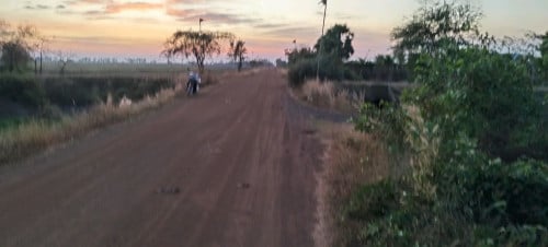 ដីជាប់ផ្លូវលំ42*100