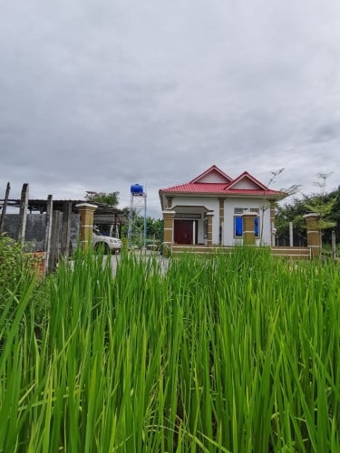 Cool fresh home town for rental