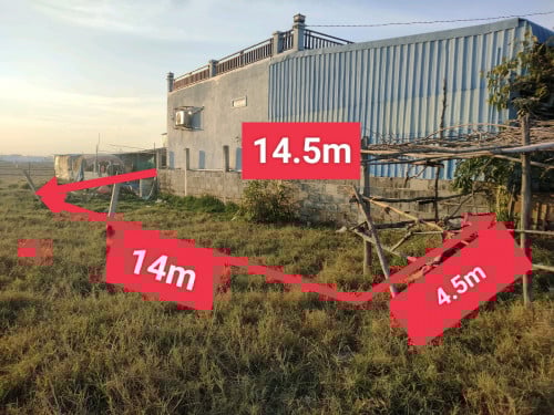 ដីលក់ ប្លង់ទន់ តម្លៃចុះបានទៀត