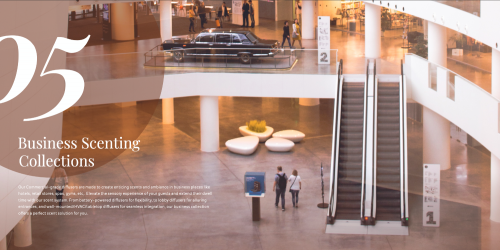 Business Scenting Collections