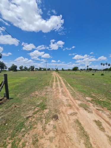 ដីលក់ នៅផ្លូវ51 ទំហំ 10 គុណ 38 តម្លៃ 19300