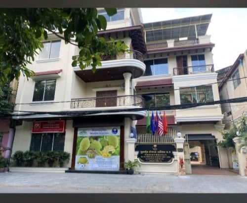 ផ្ទះវីឡាជួលកណ្ដាលក្រុង ជិតពេទ្យកាលម៉ែត្រ