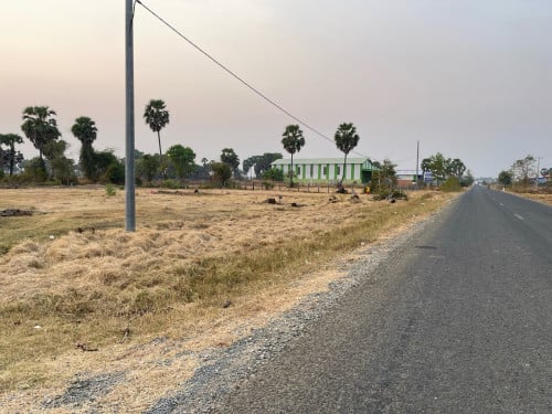 ដីជួល ឬលក់ ក្បាលដី 56ម ជាប់ផ្លូវកៅស៊ូ