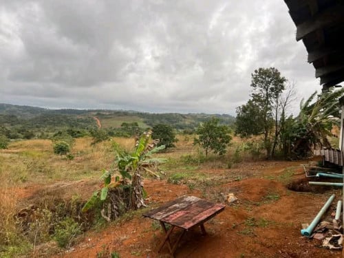 ដីសំរាប់លក់នៅដាក់ដាំ