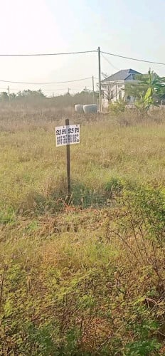 ខ្ញុំត្រូវការលក់ដីមានចំនួន2ឡូ​ ទំហំ5m*16m=80m2