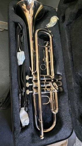 Trumpet 🎺🎺