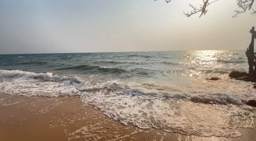 ដីលក់បន្ទាន់