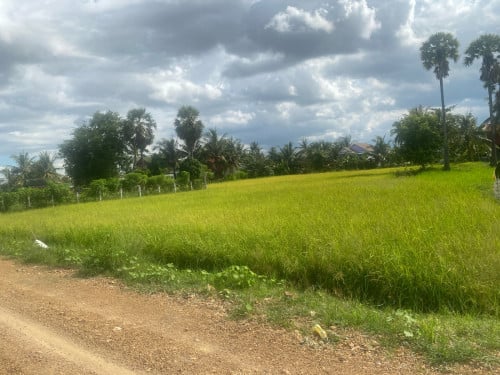 ត្រូវការលក់