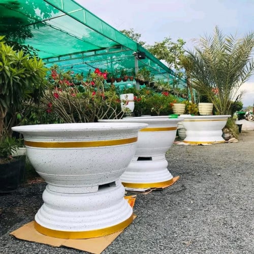 កំពស់ 60 មាត់ 80