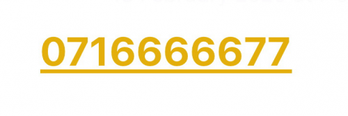 លេខពិសេស