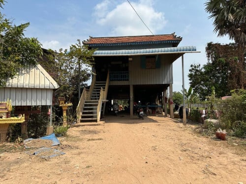 ដីភូមិលក់បន្ទាន់ 12m x 65m