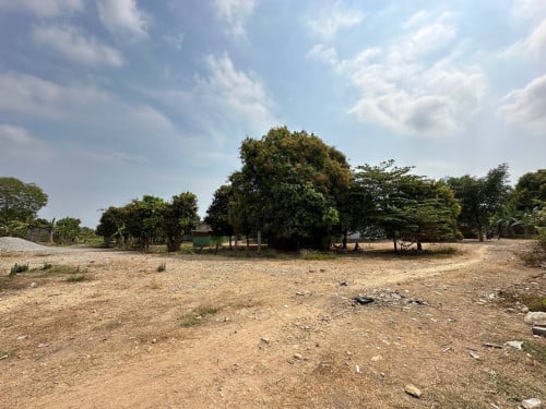 ដីភូមិលក់ម្ចាស់ដើម 26m x 50m