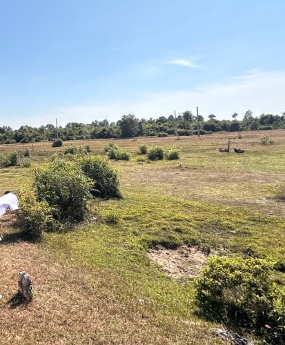 ដីលក់នៅត្រាវកុដ្ឋ សៀមរាប (ប្លង់រឹង)