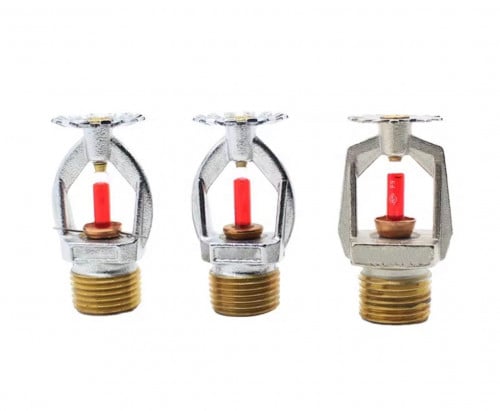 ក្បាលសាចទឹក អូតូ