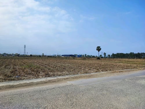 ដីកែងជិតផ្លូវ60មែត្រ