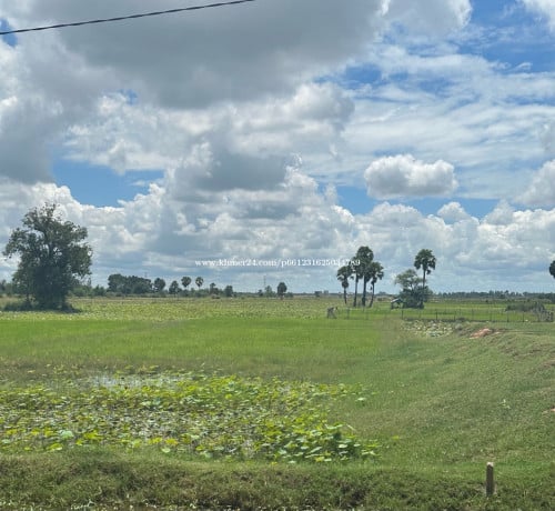 លក់បន្ទាន់ក្រោយមន្ទីរពេទ្យសម្តេចដេជោរថ្មី