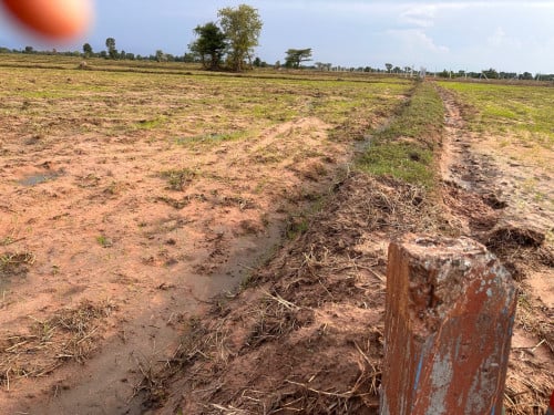 ដីលក់ 18000m2/30$ ក្រោយCMAC សៀមរាប