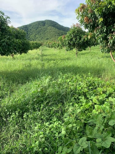 Land for sale
