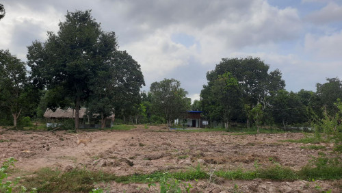 ដីលក់បន្ទាន់ 16794m2 1m2=2.2$