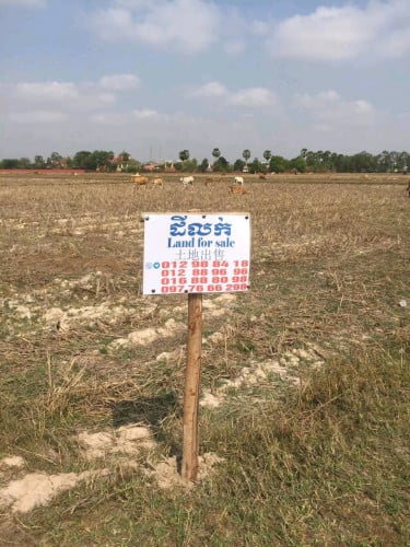 ដីលក់បន្ទាន់ ទំហំ 40×50