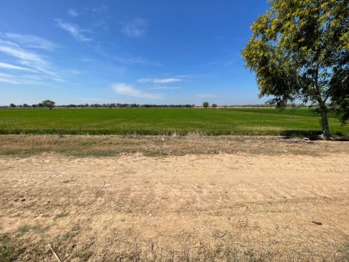 Commercial Land for Sale (P002)