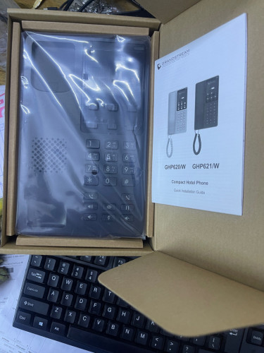 Grandstream GHP621