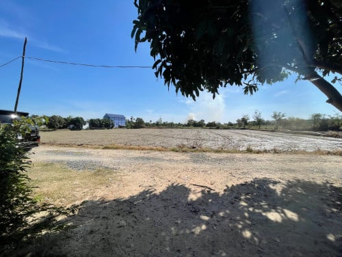 Commercial Land for Sale  (P006)