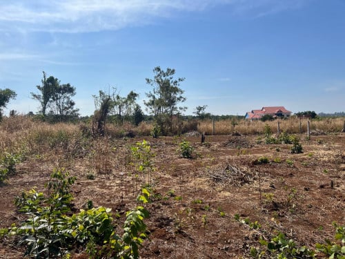 🏦Land for Urgent Sale (Negotiable), ABA Loan Available