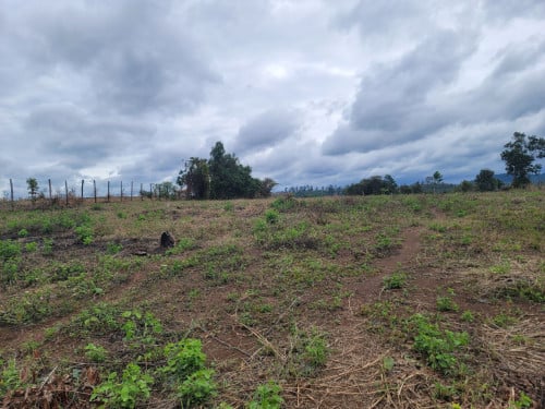 🏦Land for Urgent Sale (Negotiable), ABA Loan Available