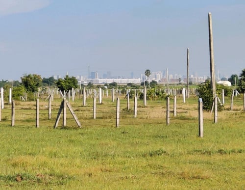 លក់សម្រាប់បងប្អូនរកដីក្រុងសម្រាប់រស់នៅ
