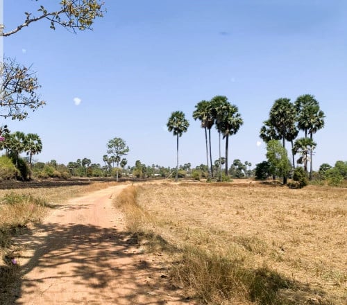 🏦Land Available for Urgent Sale at a Special Price (Negotiable).