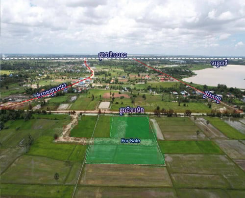 ដីលើផ្លូវណឹមម៉េងសម្រាប់លក់