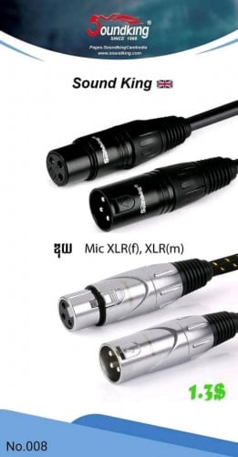 ឌុយ MiC