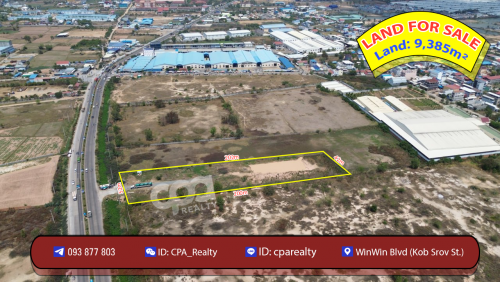 ដីលក់វិថីឈ្នះឈ្នះ(ផ្លូវកប់ស្រូវ)