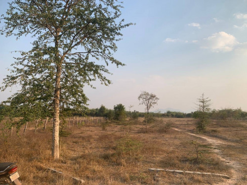 ដីលក់ ប្លង់រឹង