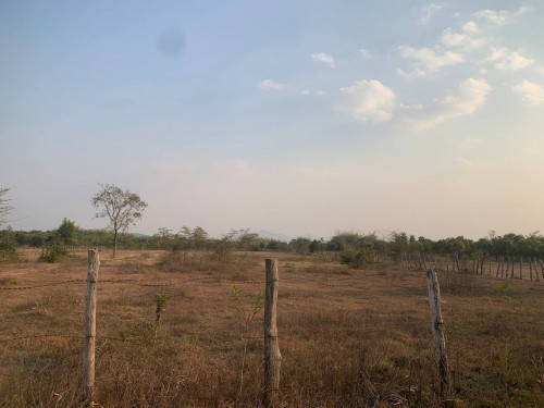 ដីលក់ ប្លង់រឹង
