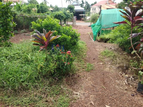 ដីសម្រាប់លក់ នៅមេមត់