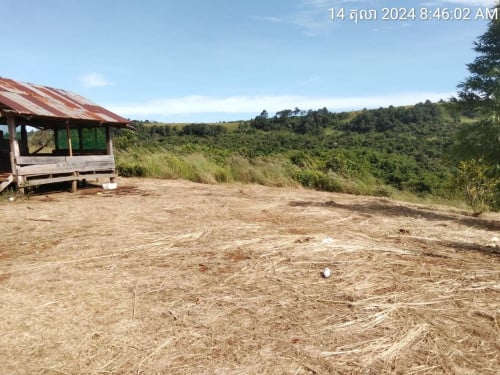 ដី resort for sale