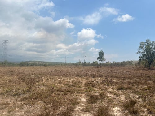 ដីលក់ព្រៃនប់ (ម្ចាស់ផ្ទាល់) 待售土地西港 (直接所有者)