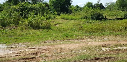 🏦Land Available for Urgent Sale at a Special Price (Negotiable).